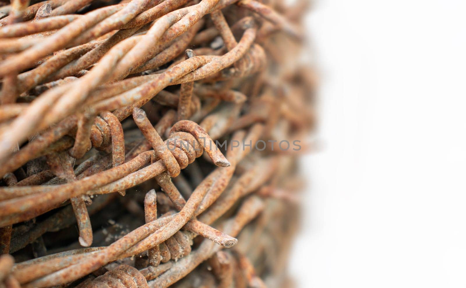 A detailed close-up image of rusty barbed wire, showcasing the corroded and weathered texture. The light-colored background contrasts with the dark, rusty metal, highlighting the sharp points and intricate tangles of the barbed wire.