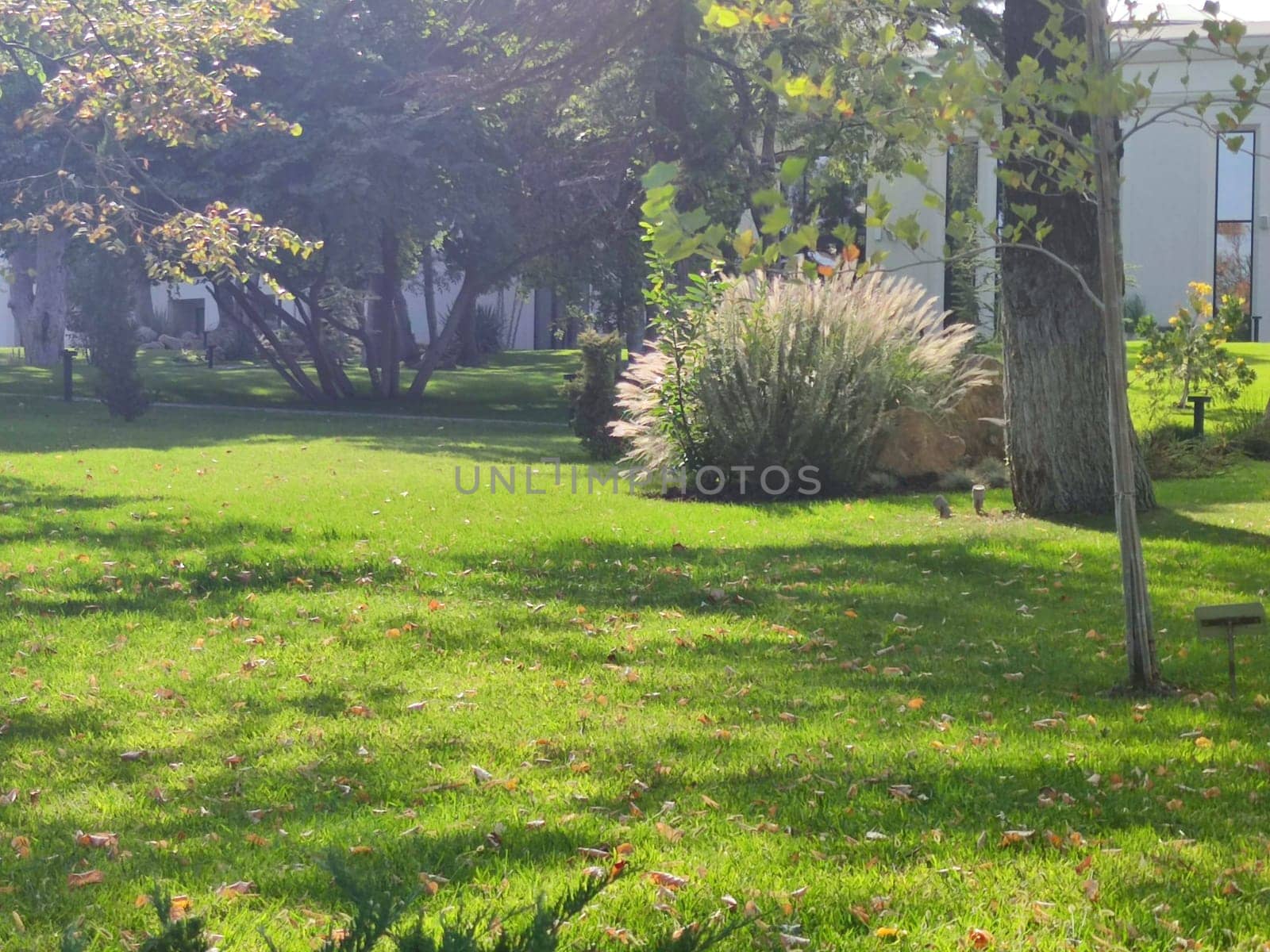 Autumn park on a sunny day, tinted photo.