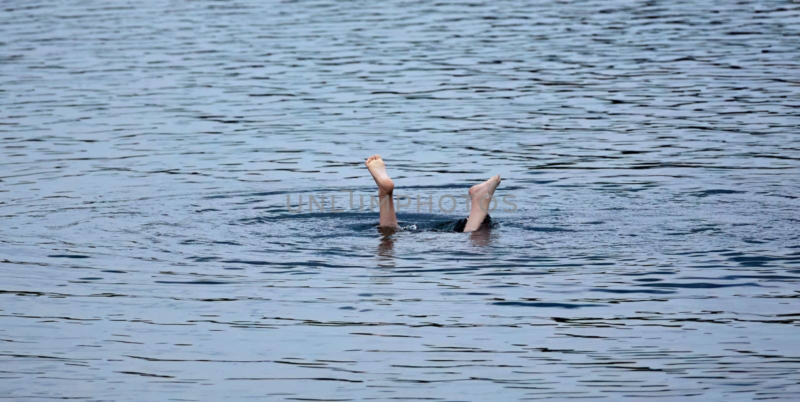 A pair of legs emerge from the water, creating ripples as they break the surface. The sunlight bathes the scene in a warm glow.