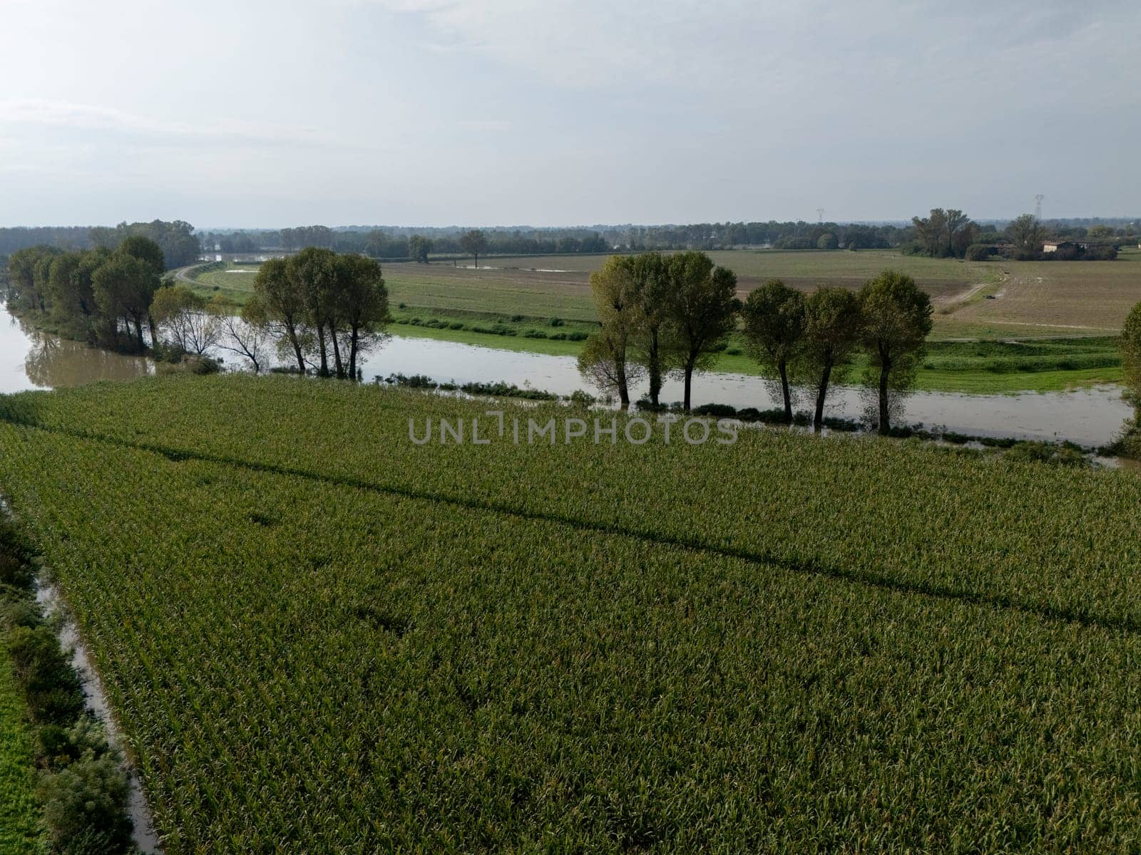 Aerial view of a flooded agricultural landscape with fields and a river overflowing due to heavy rainfall. The flood is causing damage to crops and farmland in Lombardy Italy