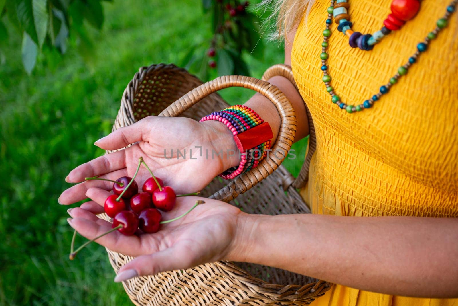 A woman in a mustard dress holds ripe red cherries in her open hands with a woven basket. The blurred background shows green grass on a sunny spring day.