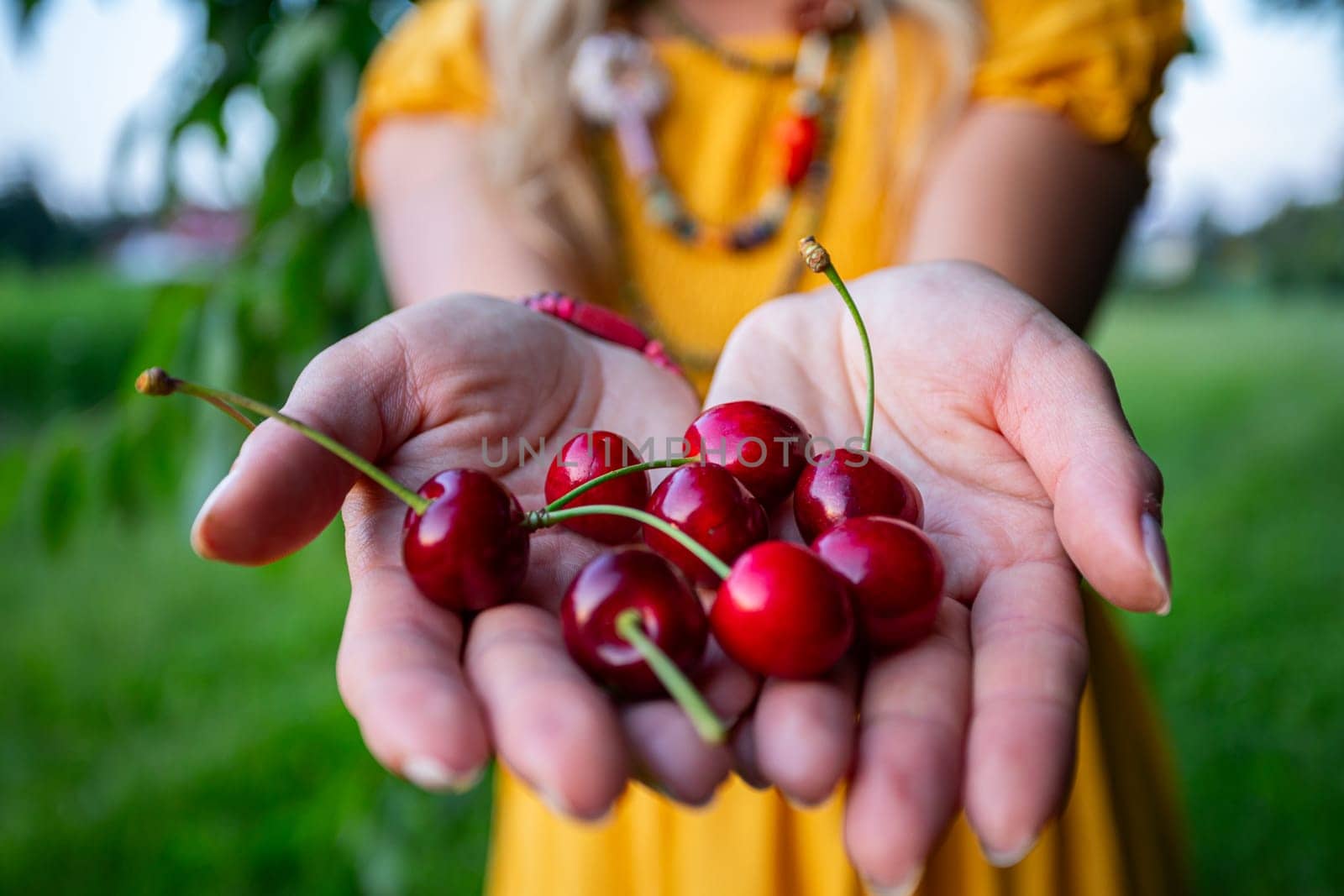 A farmer woman in a mustard dress offers ripe red cherries in her outstretched hands, filling the frame. The background, including green grass, is softly blurred.