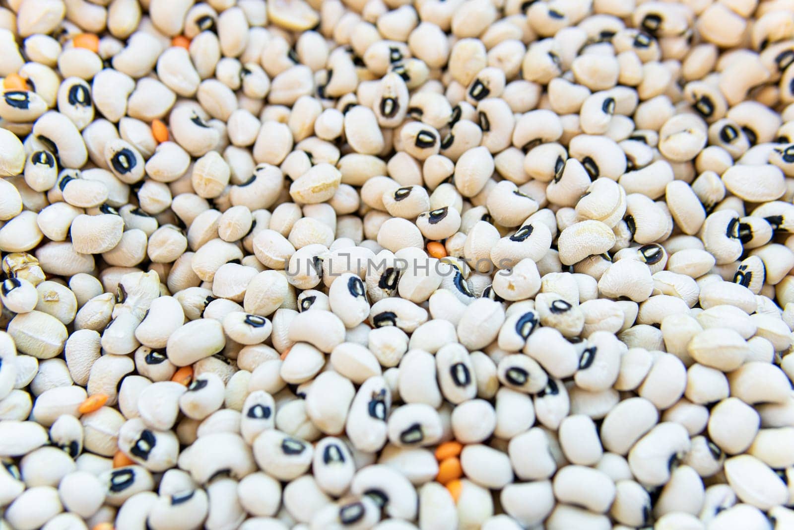 natural food organic bean vegetable dry vegetarian uncooked healthy market ingredient raw