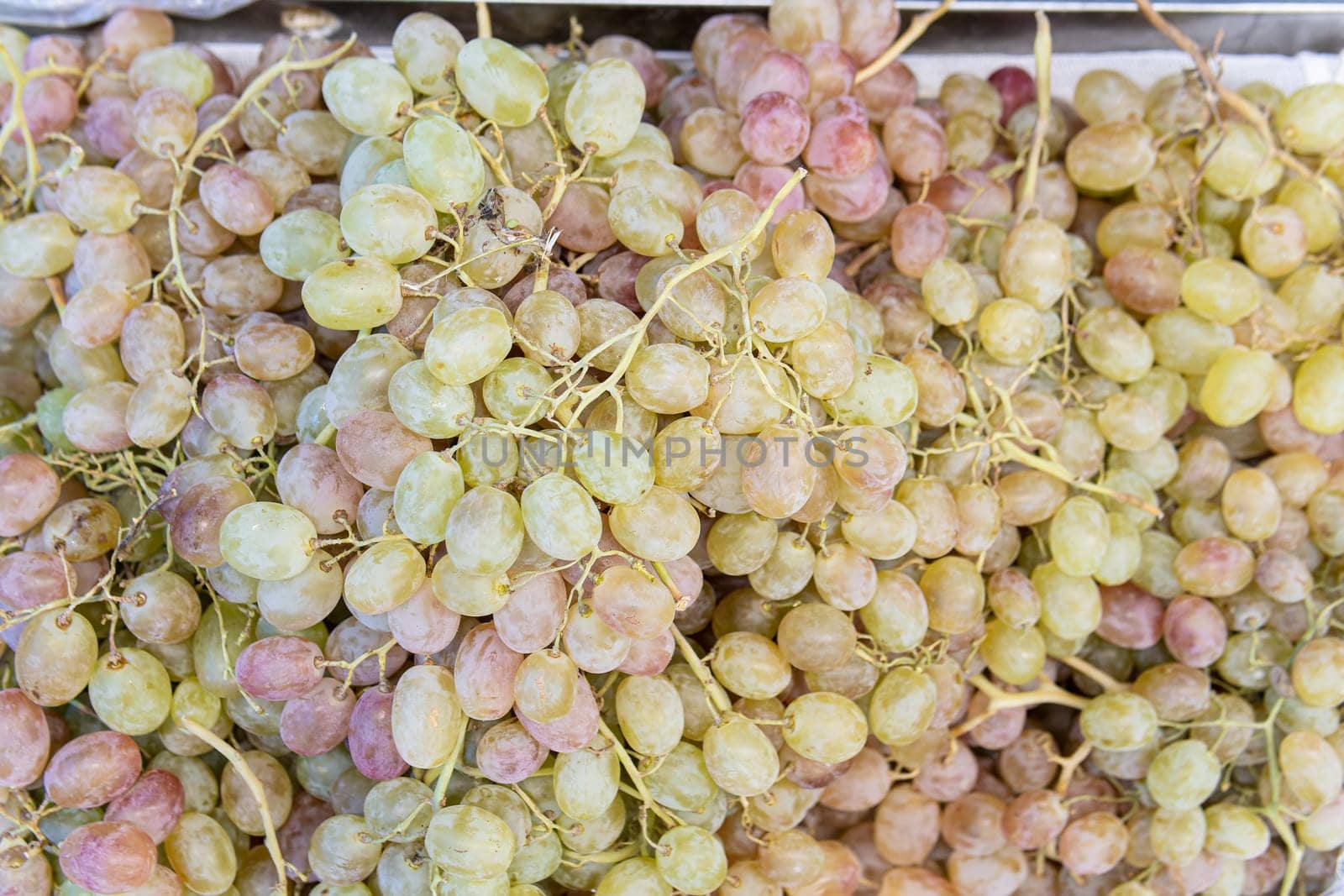 market nature organic grape green healthy agriculture juicy fruit harvest nutrition fresh food