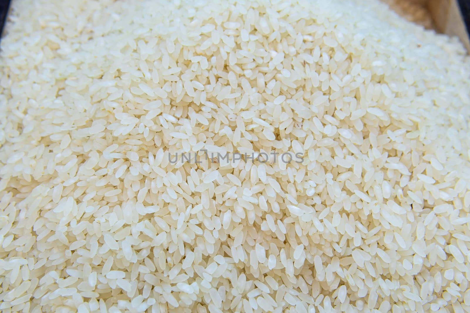 healthy ingredient background rice raw cereal food agriculture grain asian organic uncooked