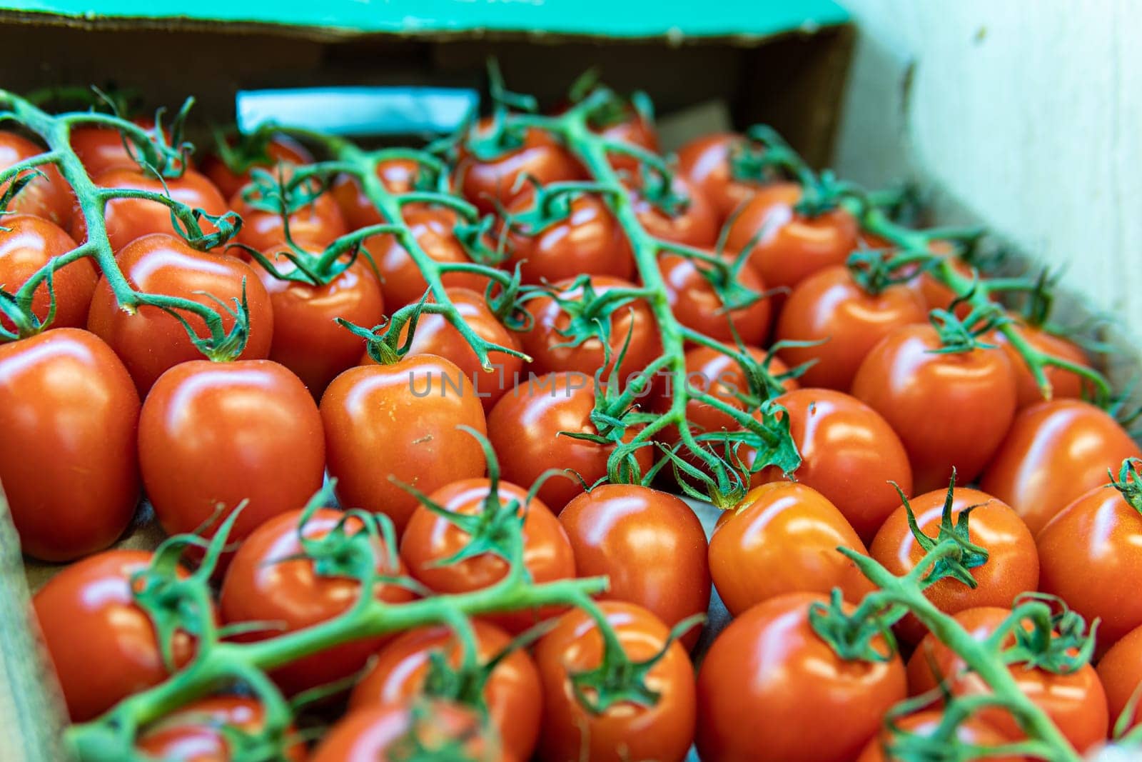 raw tomato produce vegetable vegetarian fresh juicy red organic nature agriculture food market