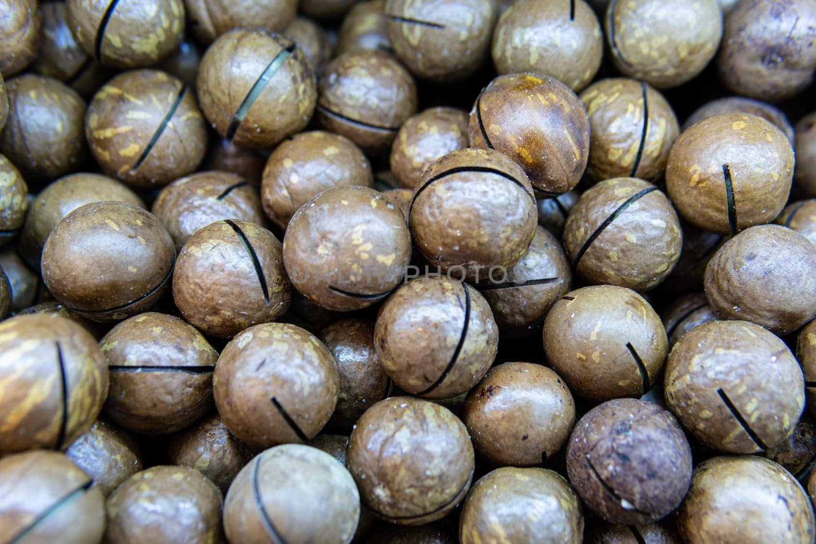 snack cooking food macadamia - freshness nutshell ingredient organic people seed no nut