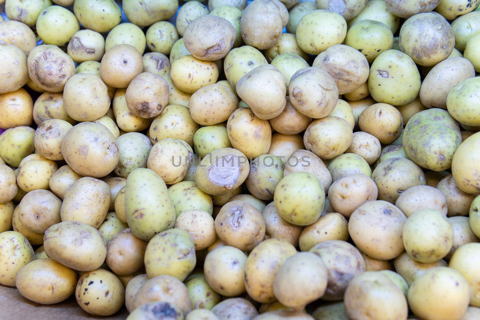 root vegetarian vegetable organic raw nutrition food background agriculture fresh vegan ingredient