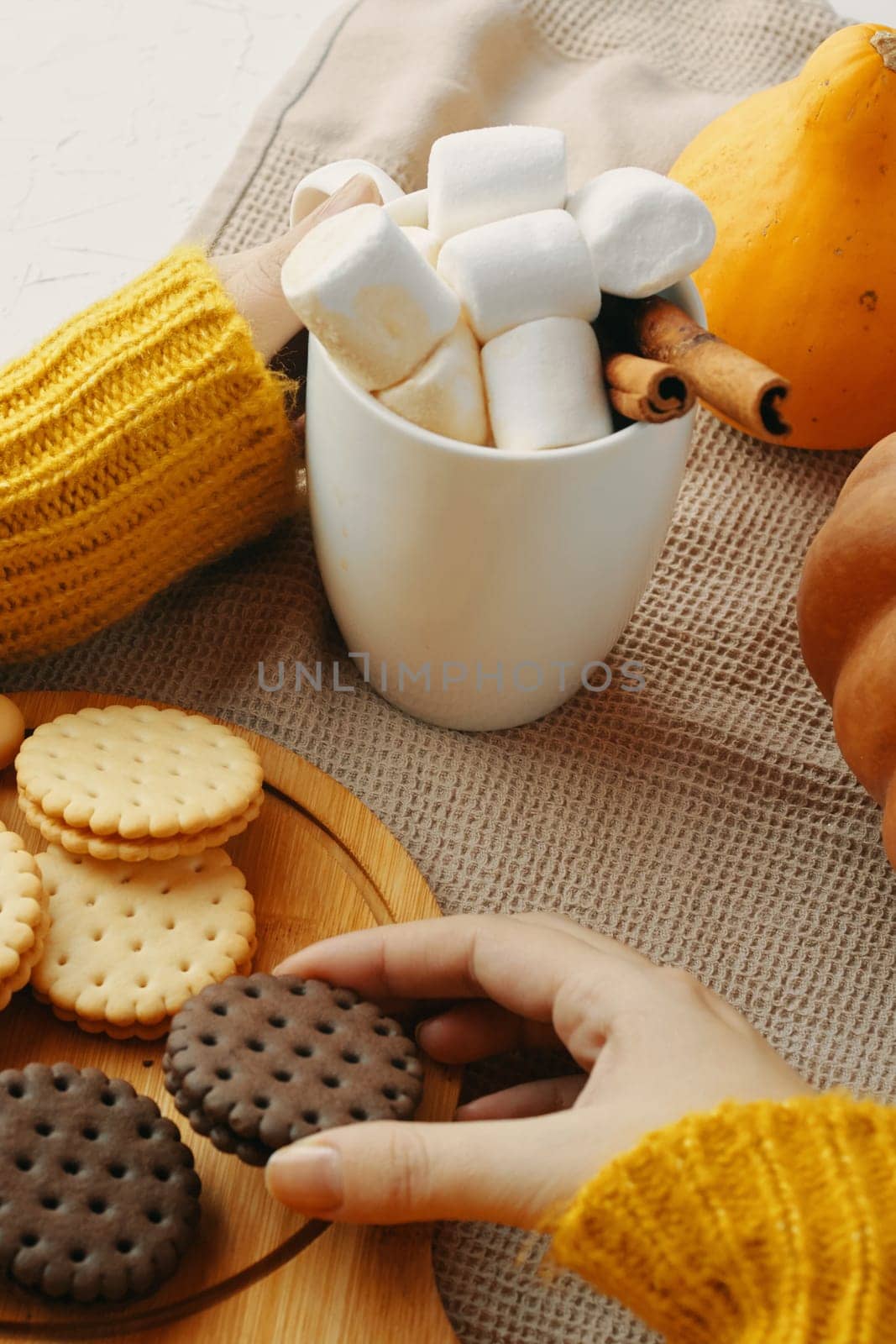 Woman in a warm knitted sweater drinks cocoa with milk and chocolate in a mug with cookies, sitting next to pumpkins. Hot drink in a cup. Autumn season. Warm homely atmosphere. Cozy house