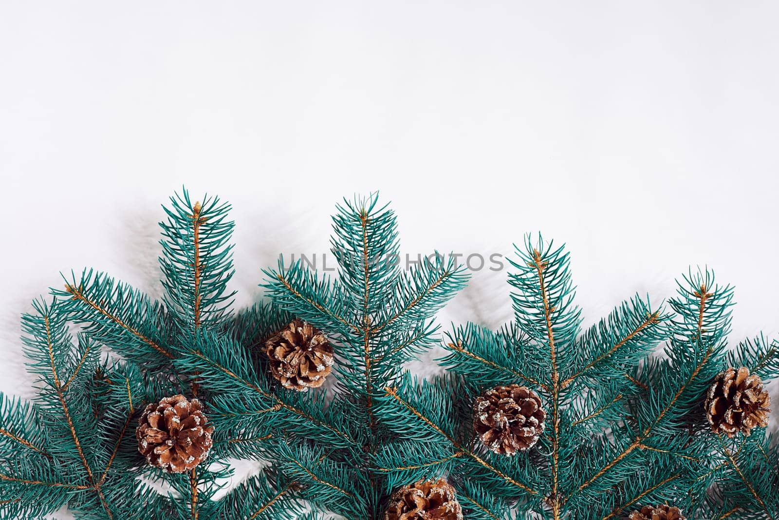 Green Christmas fir tree branches with cones isolated on white background. by nazarovsergey