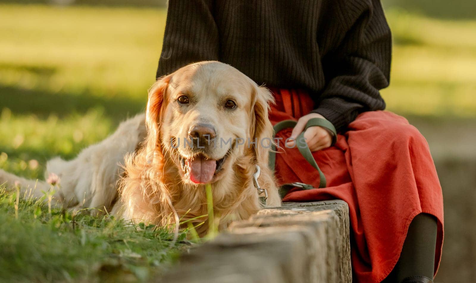 Pretty girl with golden retriever dog sitting at nature together. Purebred pet doggy labrador with owner lying on grass at autumn park