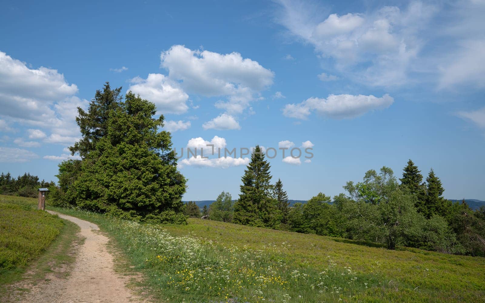 Panoramic landscape image, beautiful scenery of Rothaar Mountains on top of Kahler Asten Mountain, Sauerland, Germany 