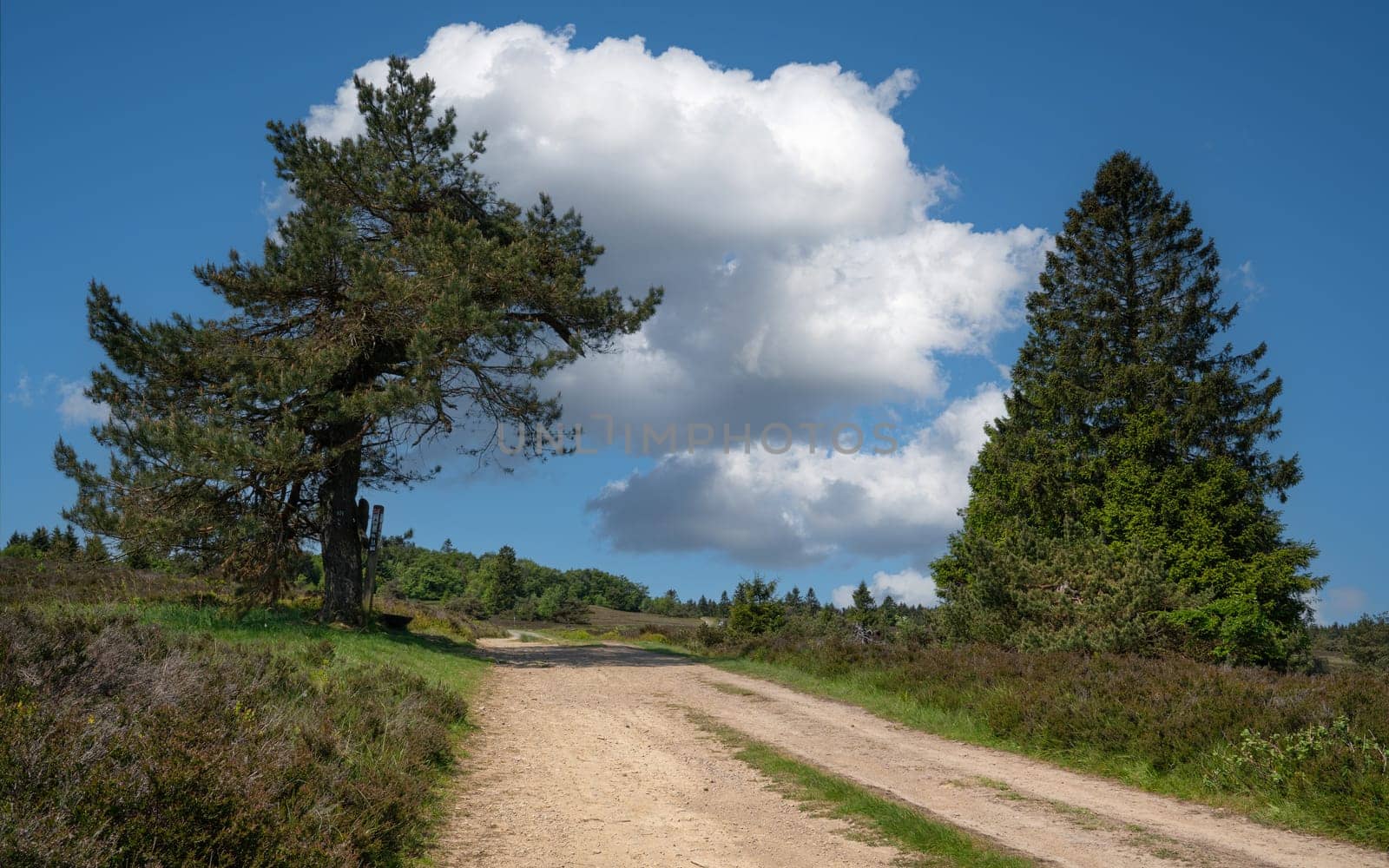 Landscape of Rothaar Mountains, Sauerland, Germany  by alfotokunst