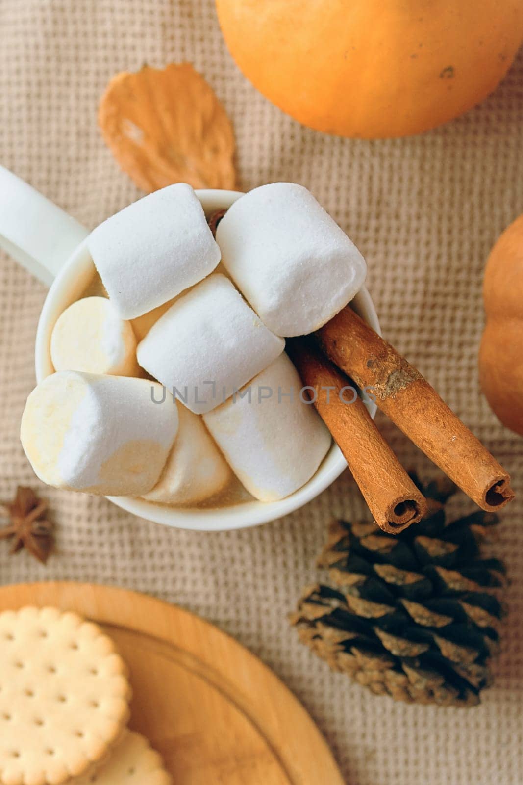A warm winter drink is topped with marshmallows, cinnamon sticks, and holiday decorations on a cozy surface