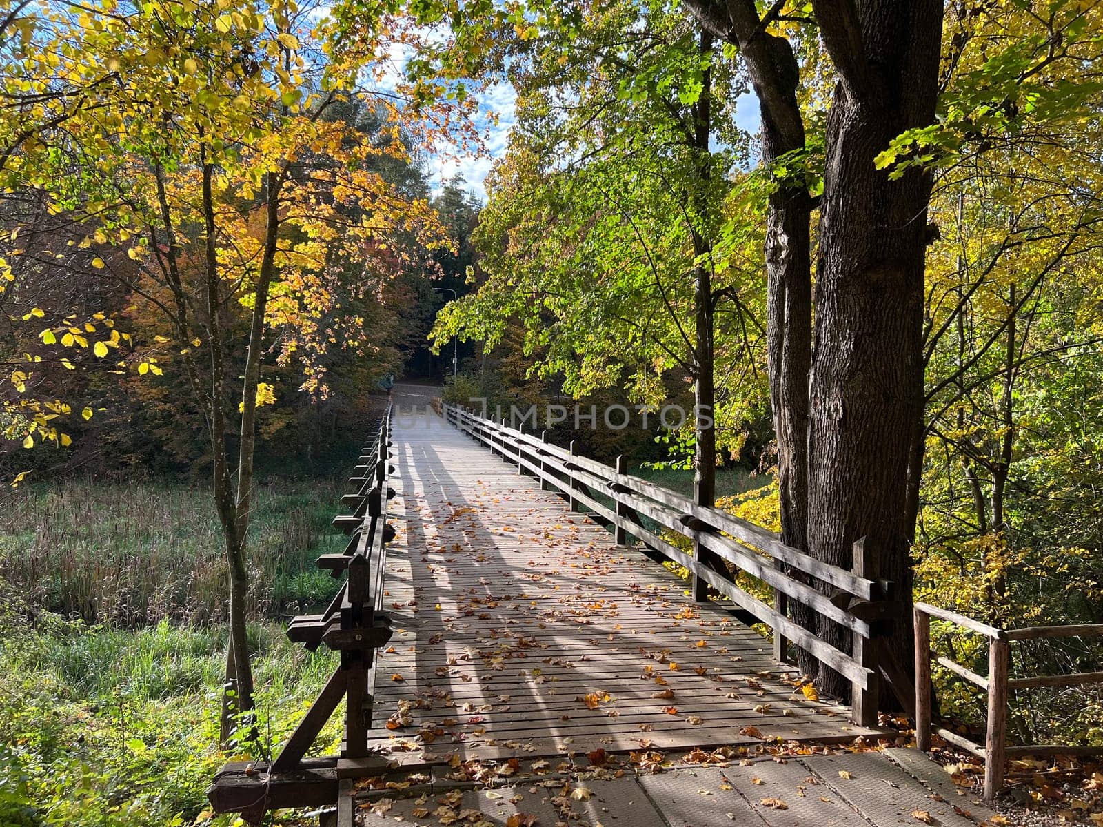 Autumn nature landscape. Lake bridge in fall forest. Path way in gold woods. Romantic view image scene. Magic misty sunset pond. Red color tree leaf park. Rumsiskes . High quality photo