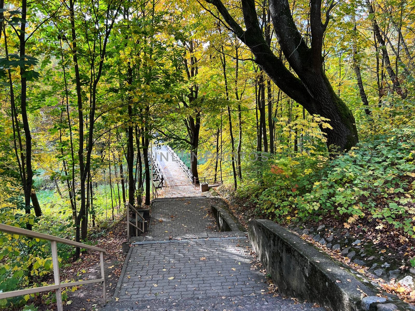 Autumn nature landscape. Lake bridge in fall forest. Path way in gold woods. Romantic view image scene. Magic misty sunset pond. Red color tree leaf park. Rumsiskes . High quality photo
