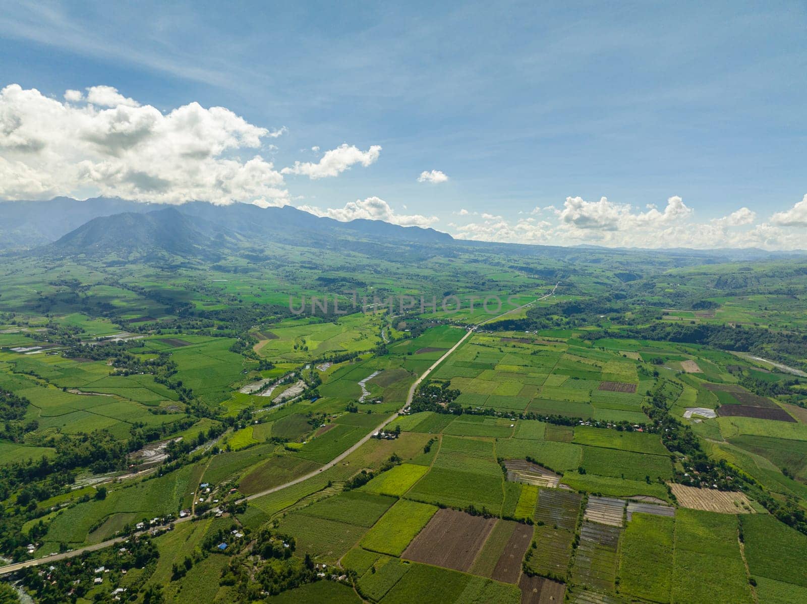 Farmland with sown green fields in countryside. Negros, Philippines