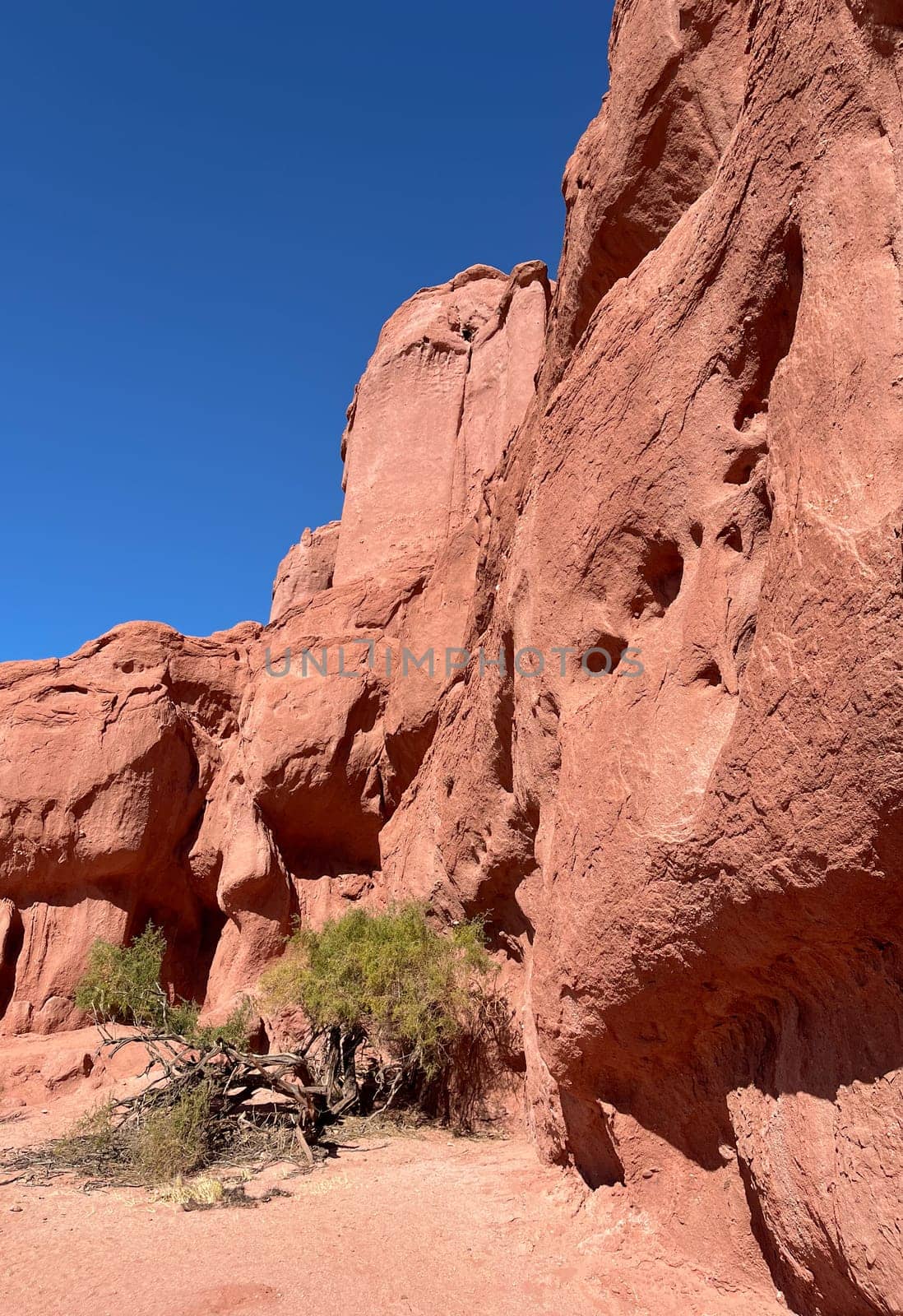 Natural wallpaper.Used for promotions and advertisements for travel and tourism agencies. Ecological tourism. Exotic landscapes of northern Argentina.Copy space