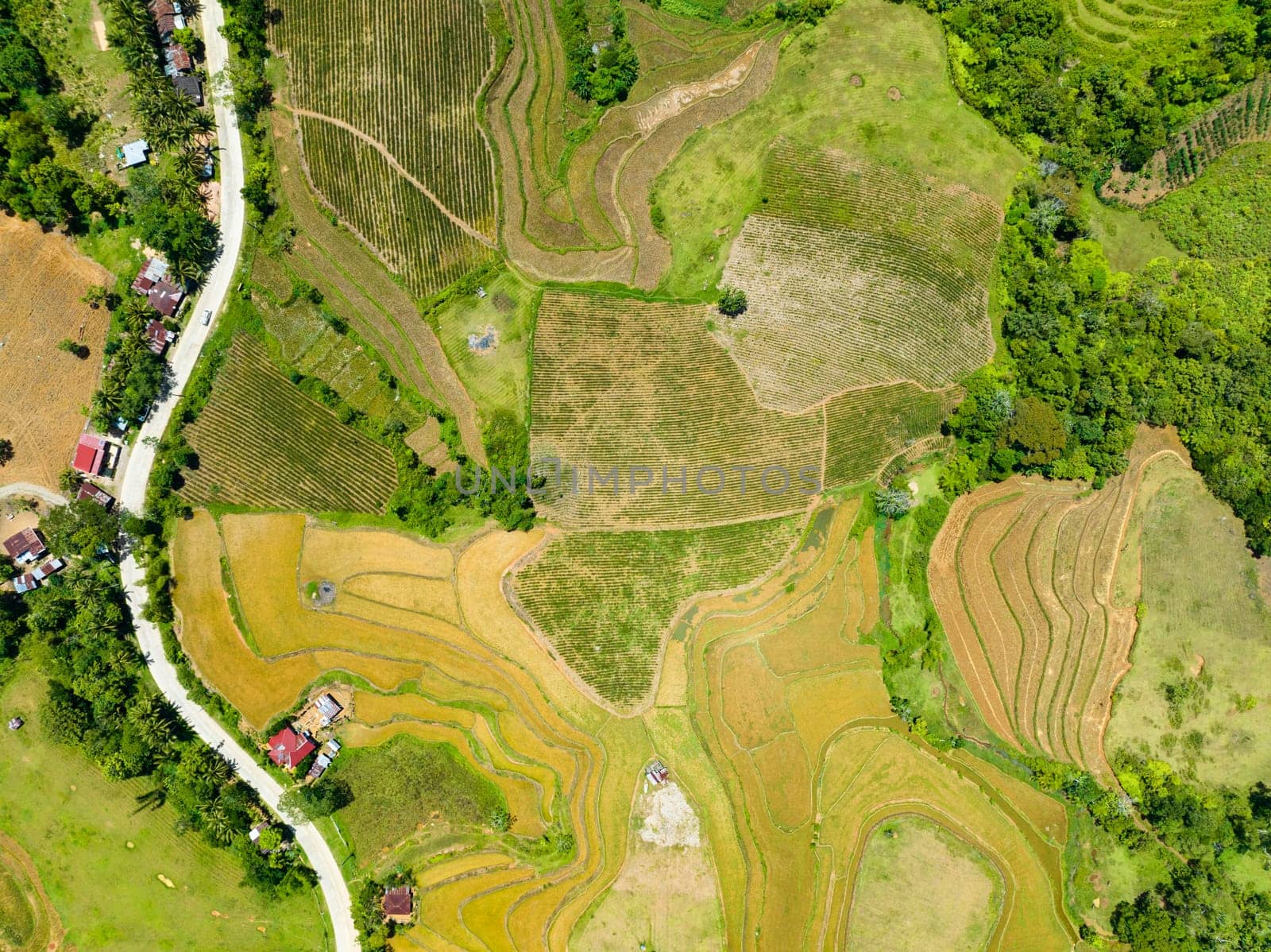 Aerial drone of agricultural landscape with farmland in the countryside. Negros, Philippines