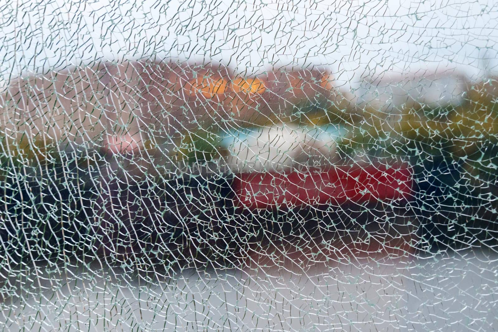 A shattered glass texture beautifully blurs the vibrant colors of the garden beyond, capturing a moment of fractured reflection