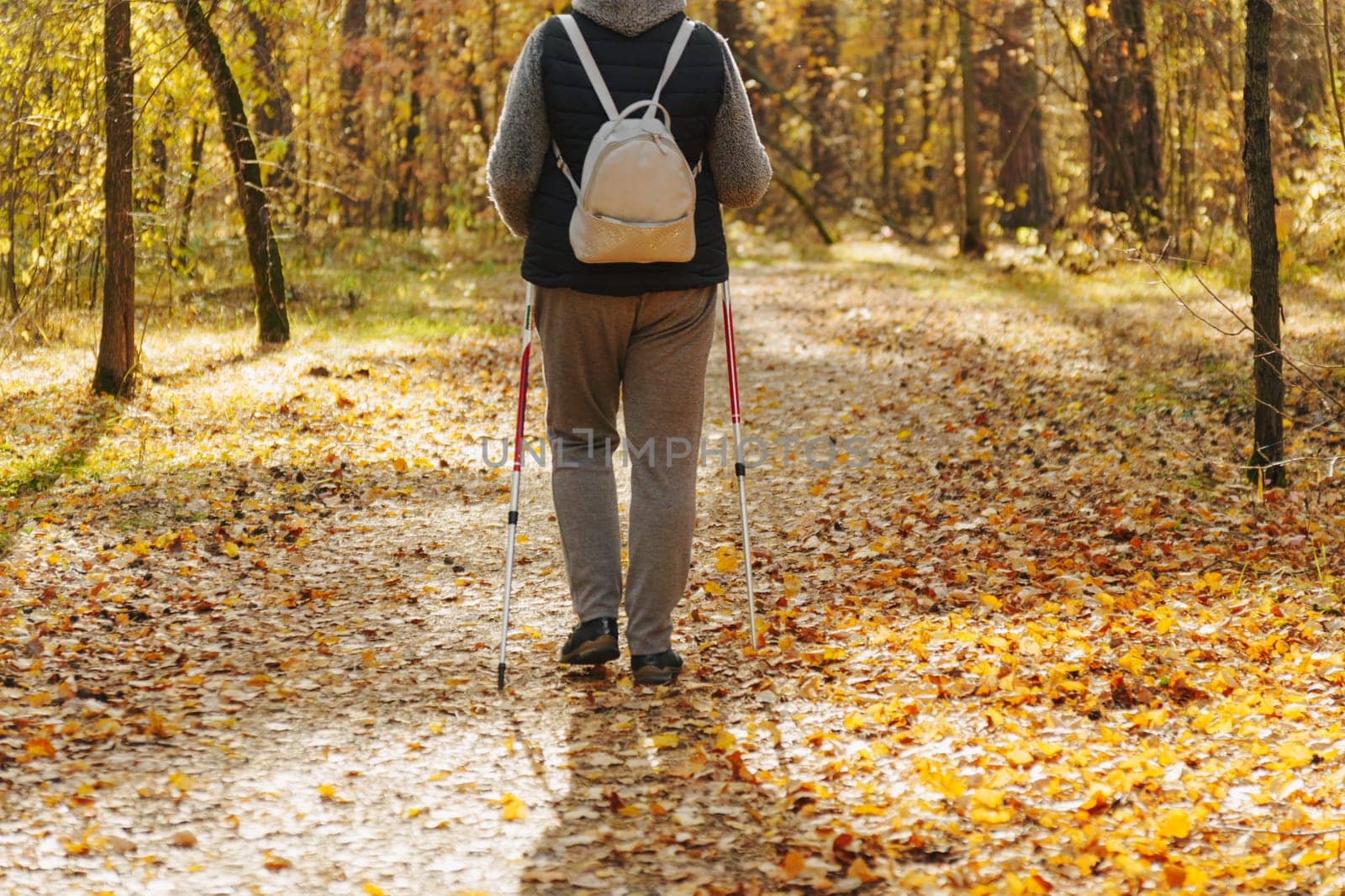 Embracing autumn's beauty, hiker practices Nordic walking among golden leaves in a strange forest trail