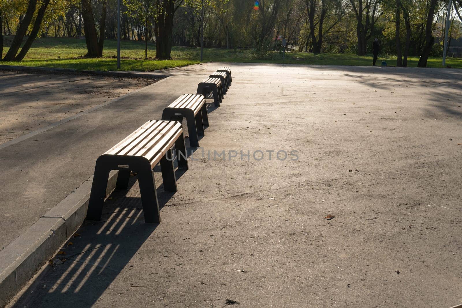 bench view landscape garden beautiful sitting background summer outdoor park wood nature tree