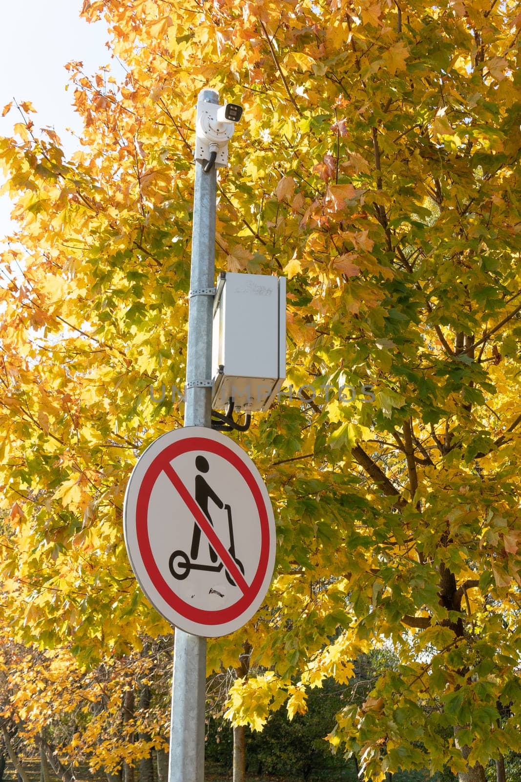 red concept vehicle road street traffic blue travel transportation symbol scooter sign safety
