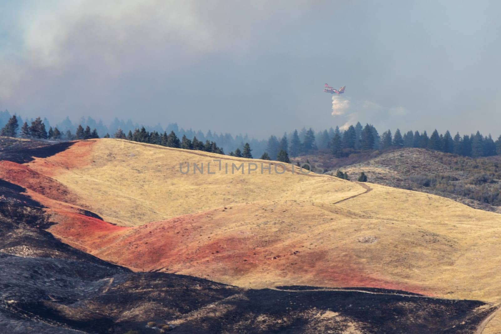 An aerial firefighting aircraft releases water over a smoky forest to control and extinguish the 2024 Valley Fire near Boise, Idaho