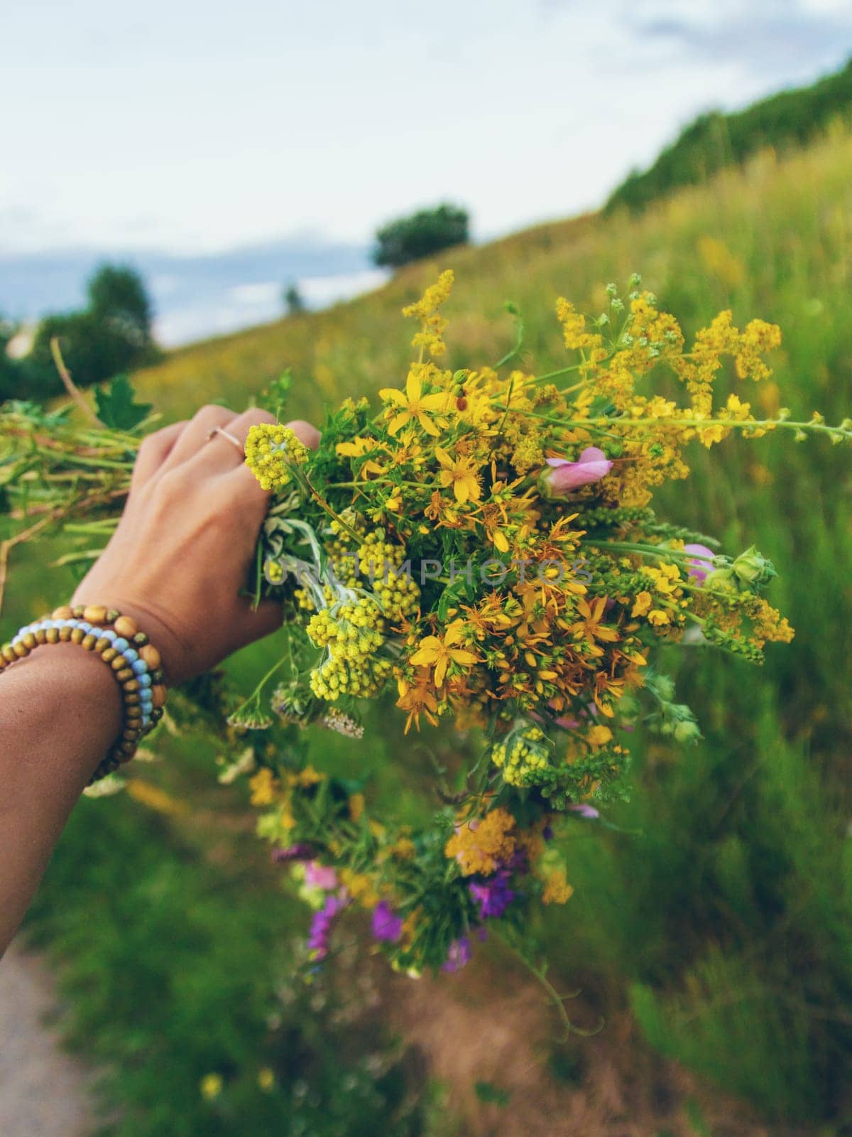 Woman in a meadow with medicinal herbs. Selective focus. Nature.