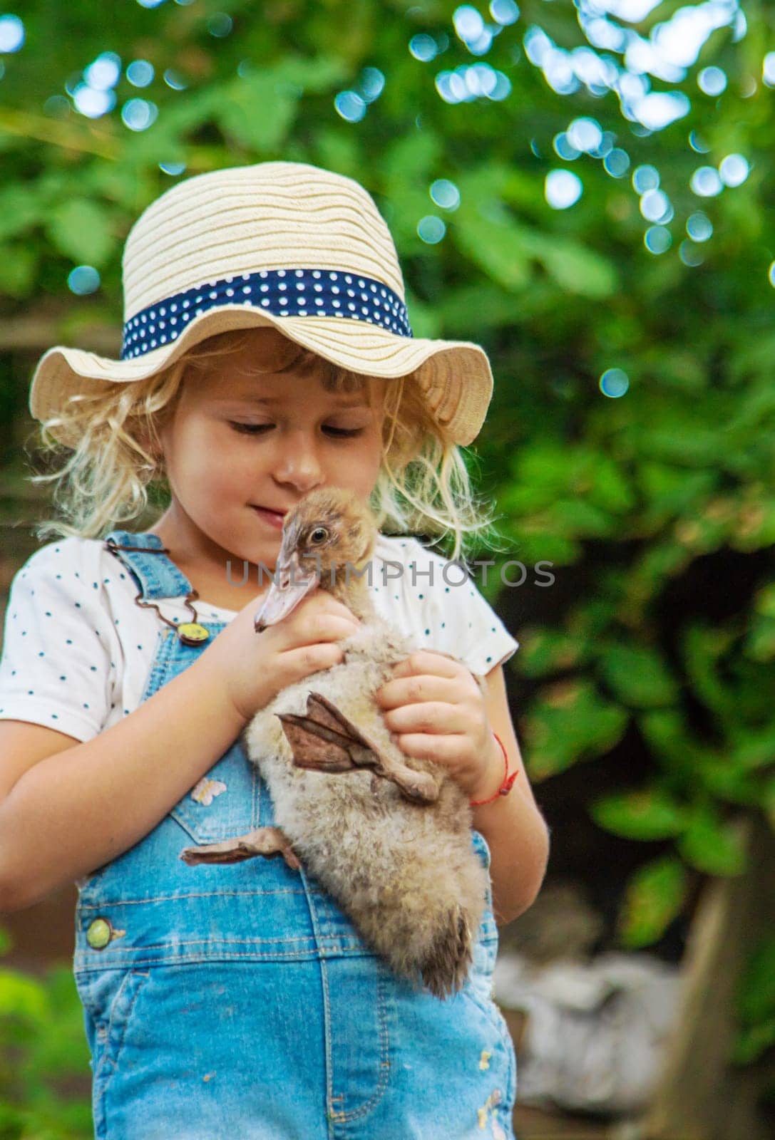Child with ducklings on a farm. Selective focus. Kid.