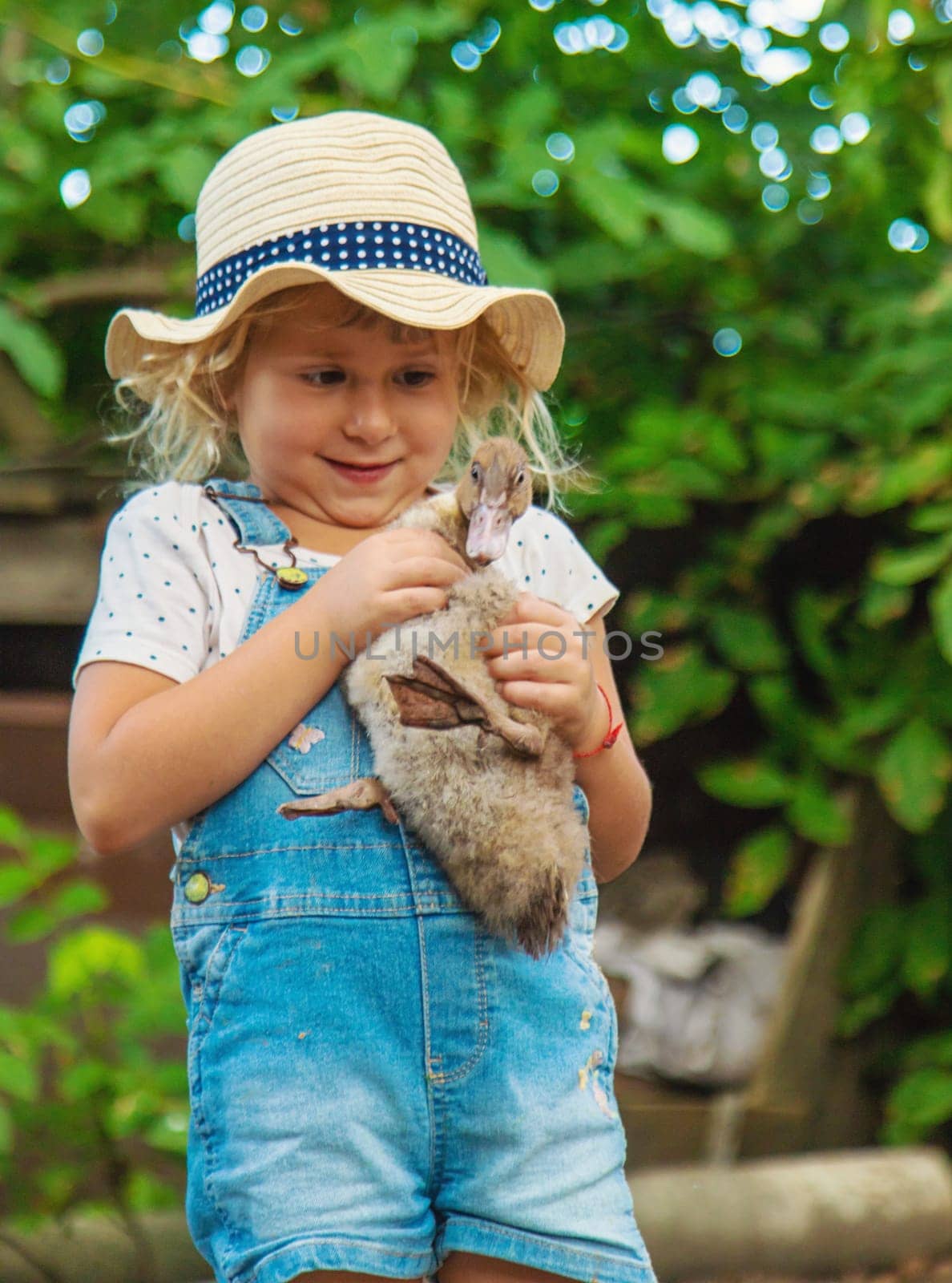 Child with ducklings on a farm. Selective focus. Kid.