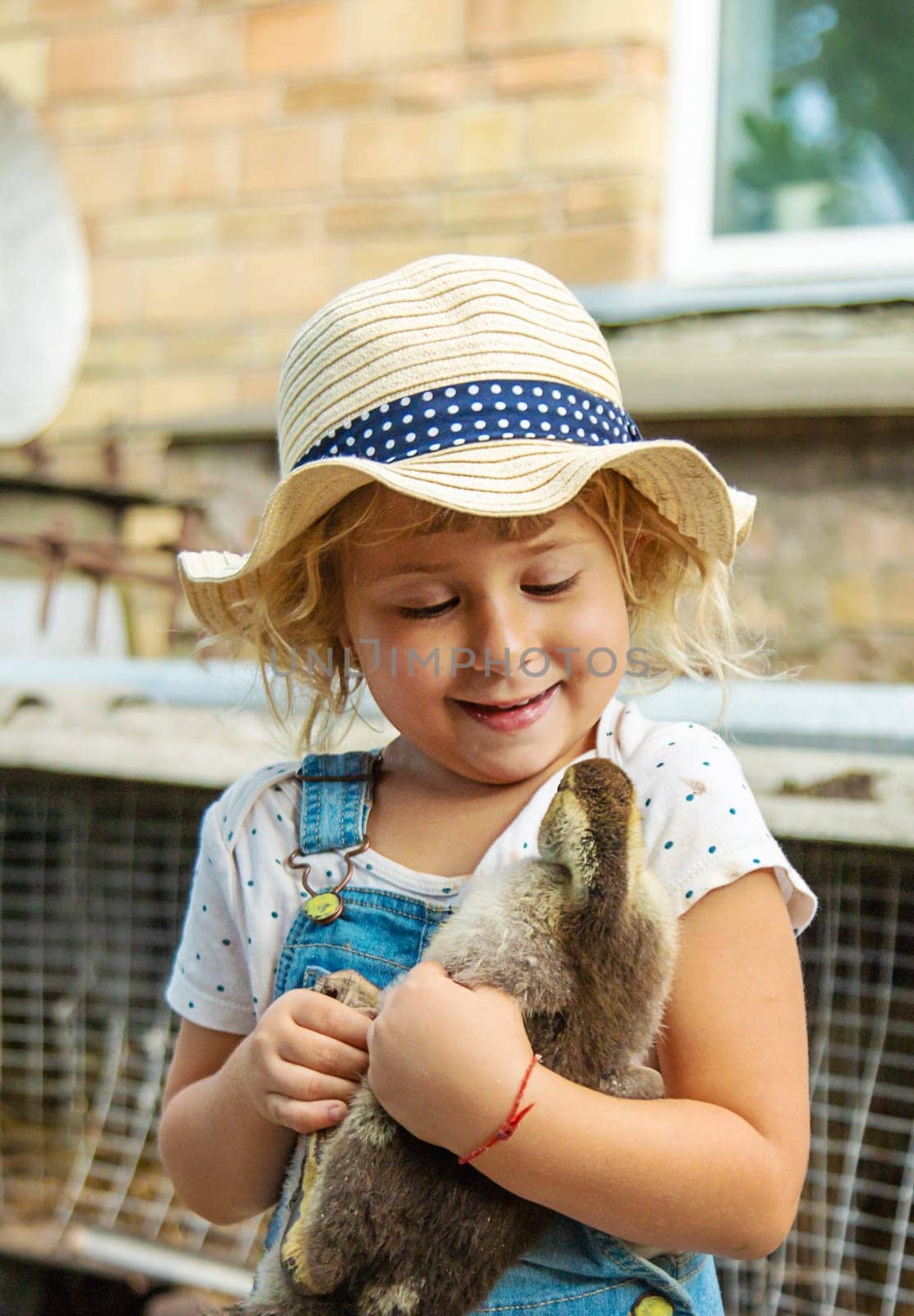 Child with ducklings on a farm. Selective focus. Kid.