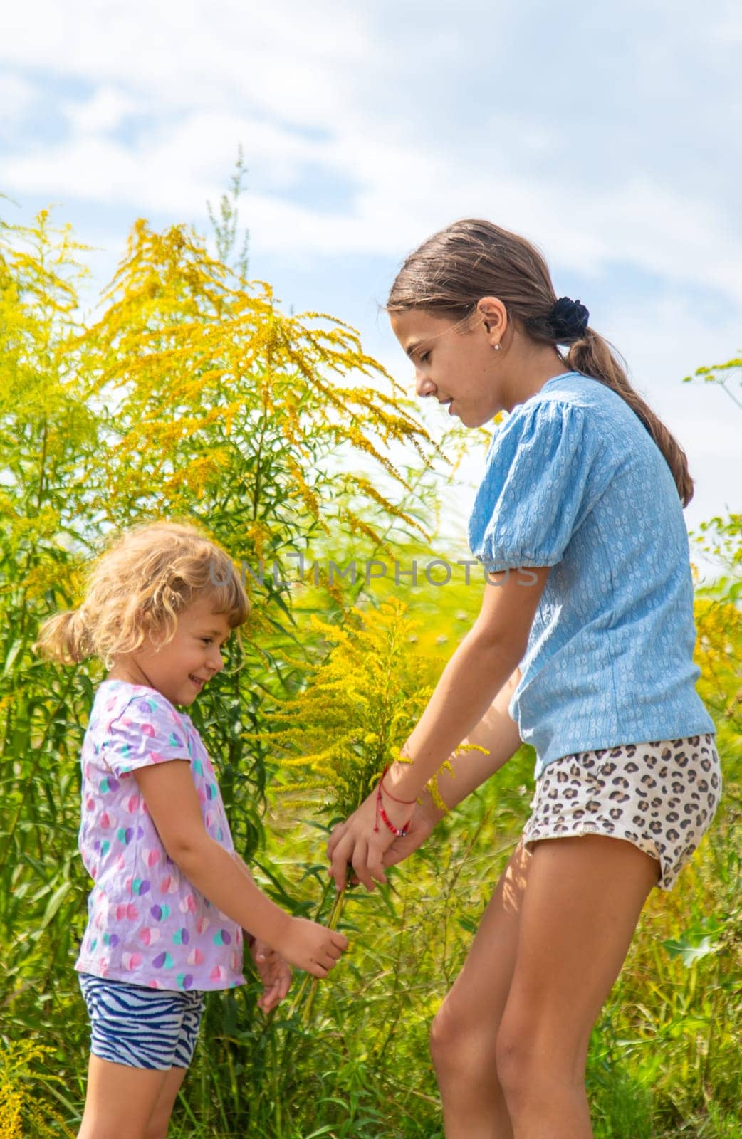 Child in ragweed flowers allergy. Selective focus. Kid.