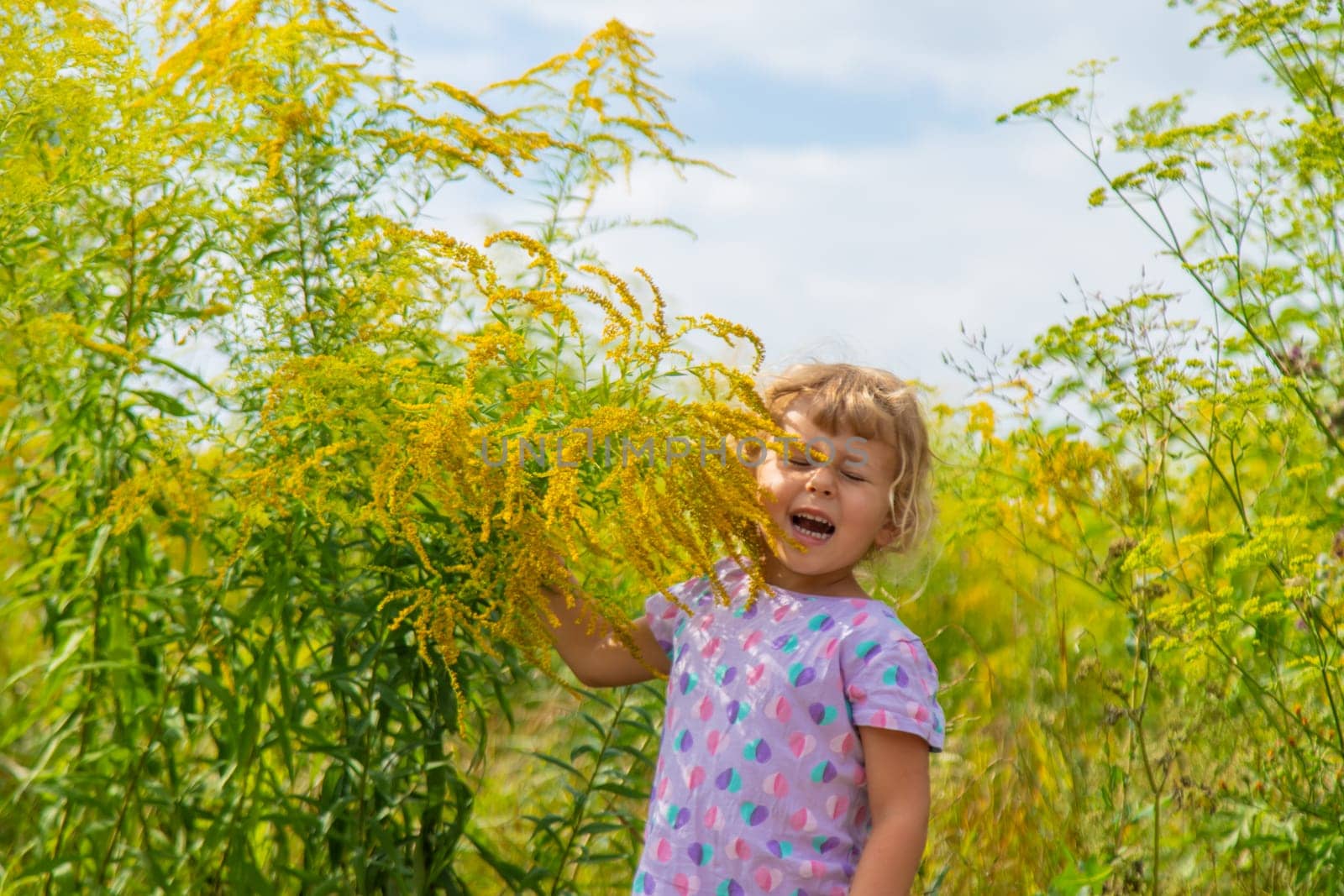 Child in ragweed flowers allergy. Selective focus. Kid.