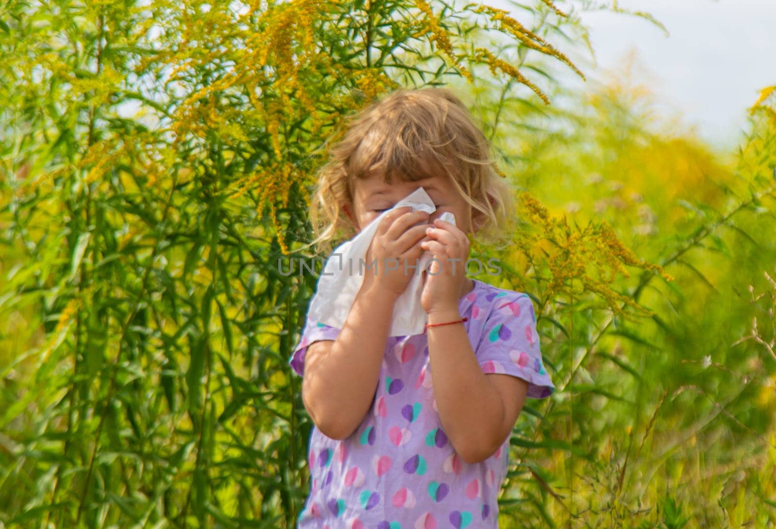 Child in ragweed flowers allergy. Selective focus. Kid.