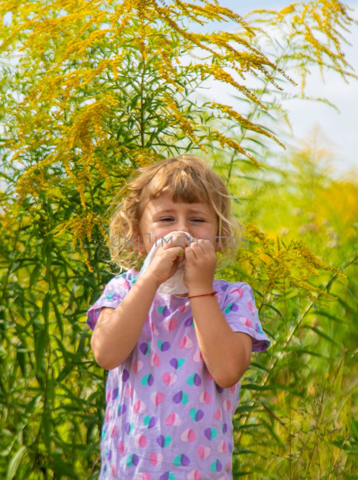 Child in ragweed flowers allergy. Selective focus. Kid.