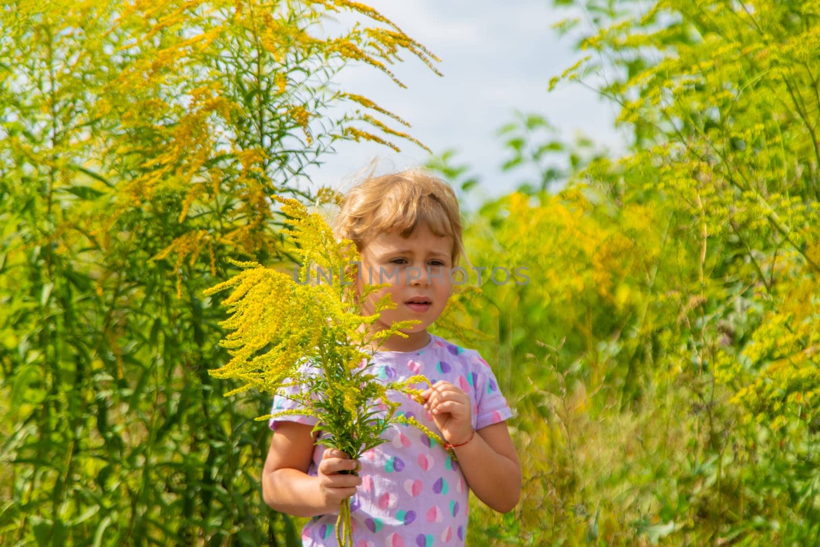 Child in ragweed flowers allergy. Selective focus. Kid.
