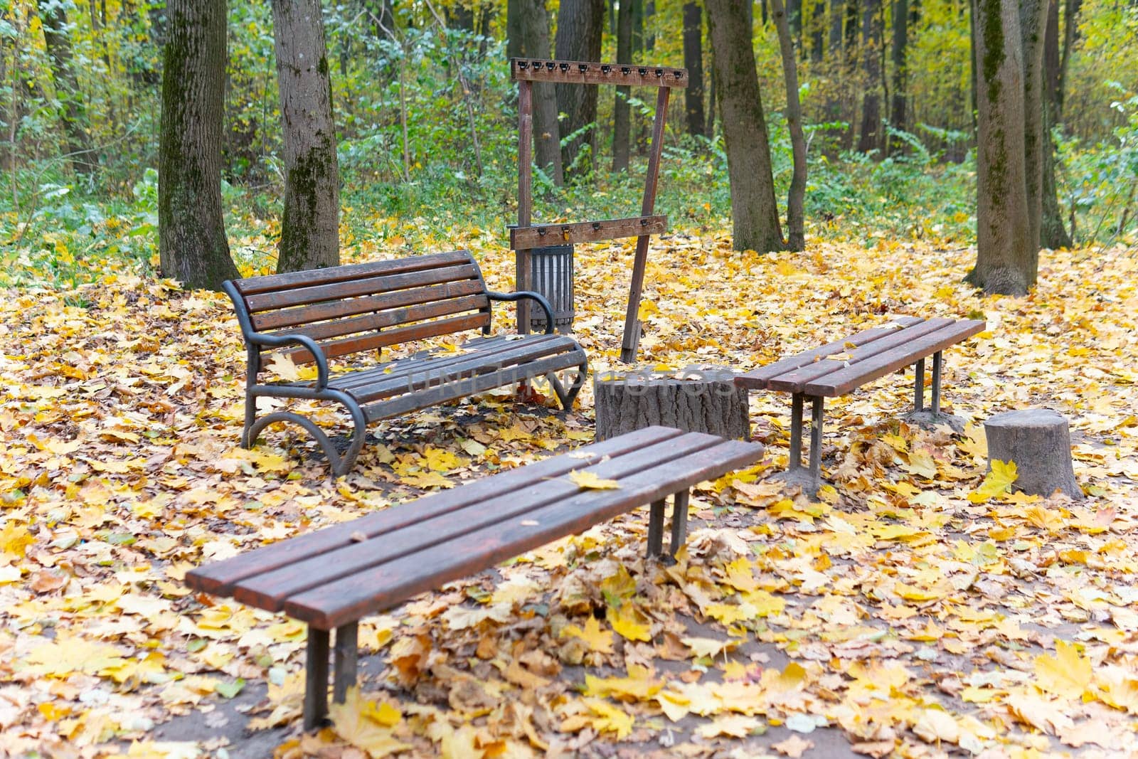 forest park wooden landscape surface white bench tree green nature wood background tennis outdoor