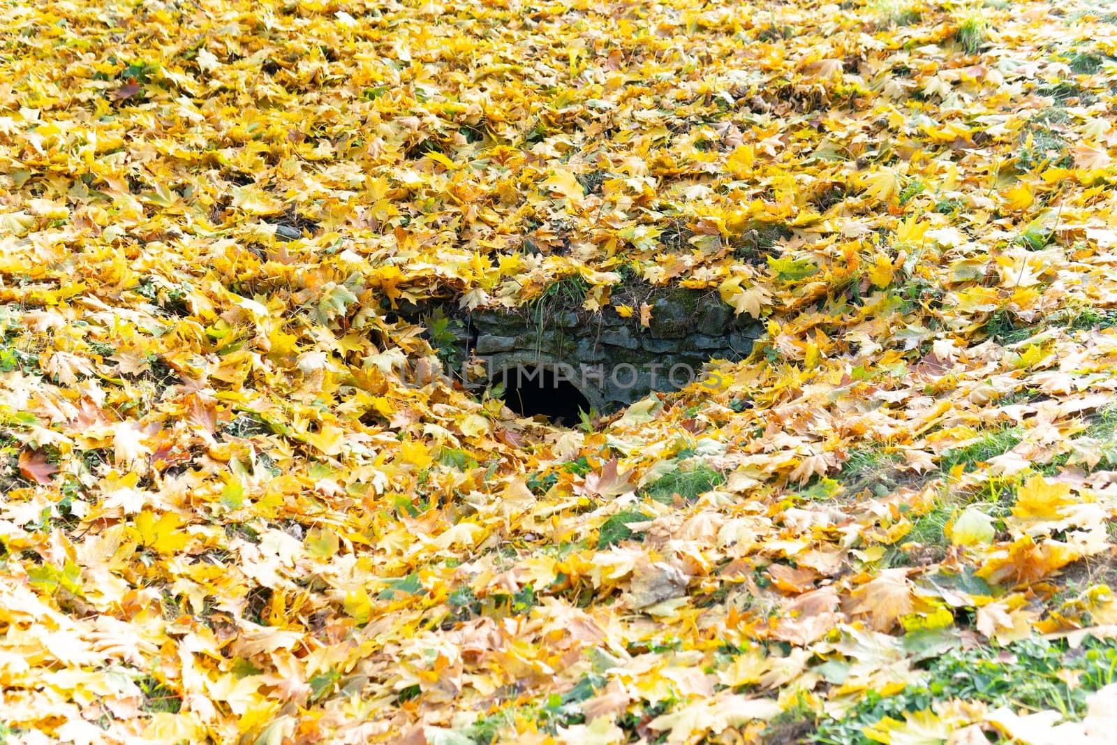 landscape view green park beautiful cave forest outdoor travel tourism architecture stone nature