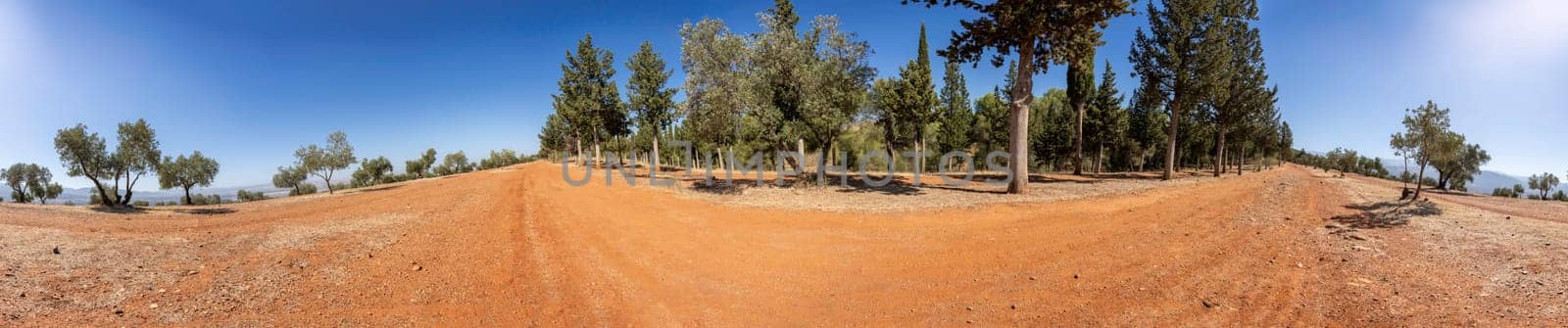 A winding dirt road meanders through a lush forest, with sunlight filtering through vibrant leaves against a blue sky, enhancing the picturesque scenery and creating a perfect nature escape