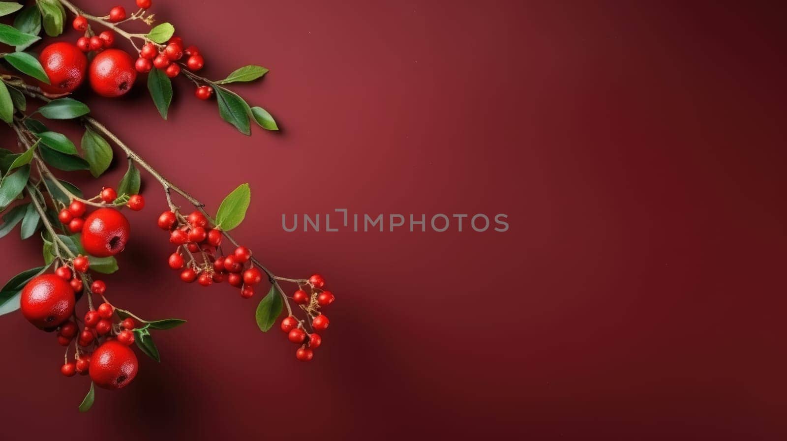 A close-up of a branch featuring small red berries and glossy green leaves on a solid red background. The arrangement leaves space for additional elements on the right side.