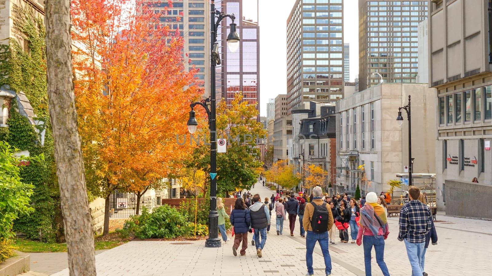 Montreal, Quebec Canada - Oct 27 2024: McGill University Open Doors event with lots of students on sunny fall autumn day.
