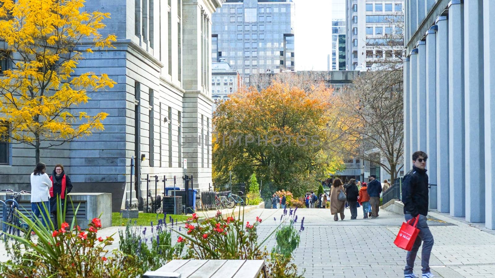 Montreal, Quebec Canada - Oct 27 2024: McGill University Open Doors event with lots of students on sunny fall autumn day.