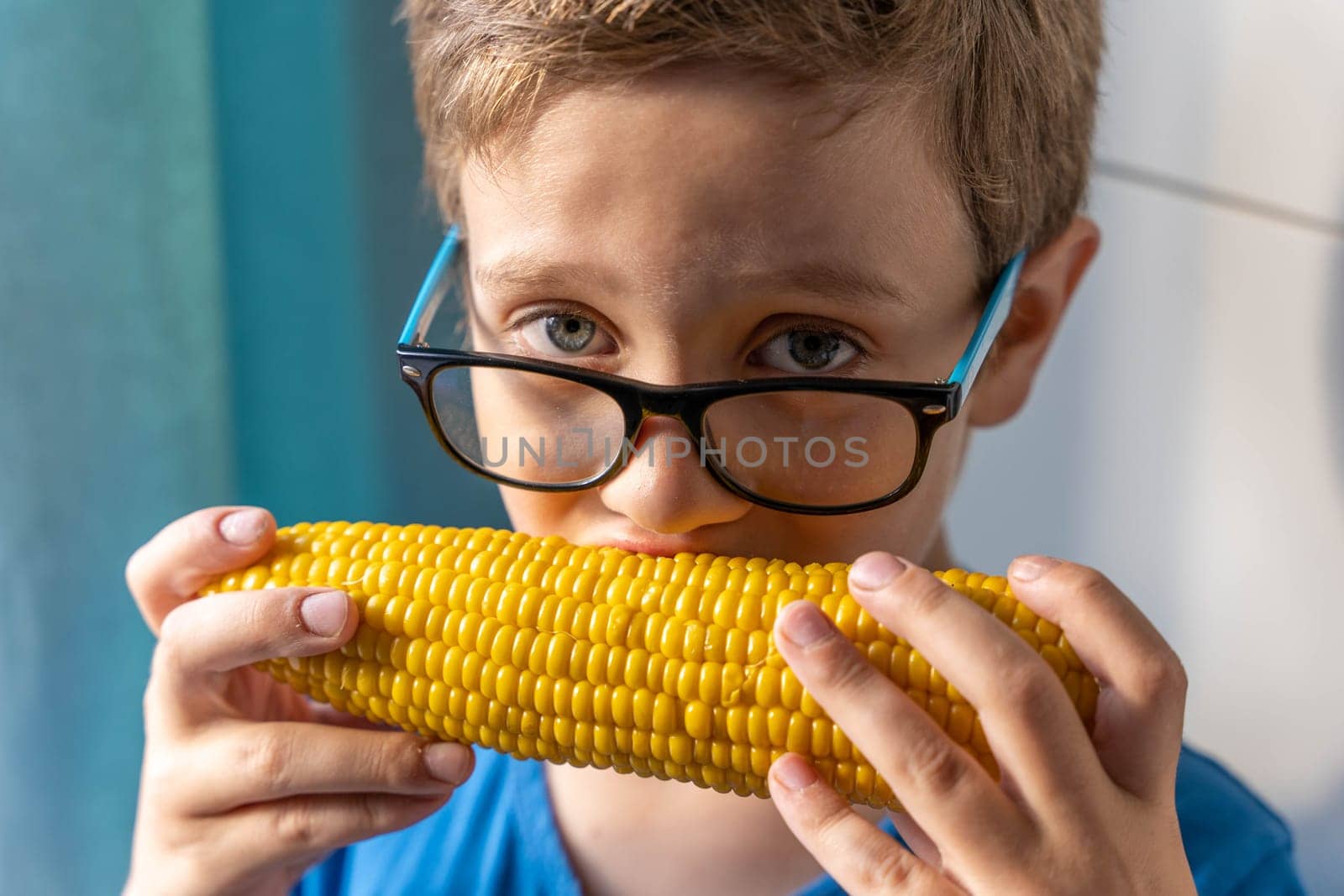 Happy cute Caucasian boy with glasses eating boiled corn on the cob by audiznam2609