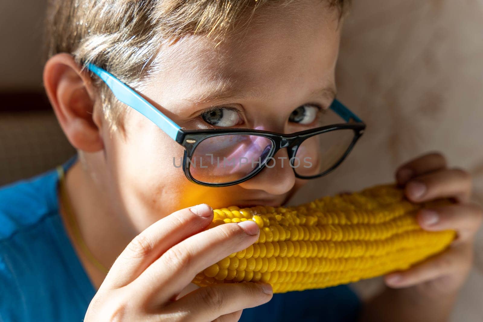 Happy cute Caucasian boy with glasses eating boiled corn on the cob by audiznam2609