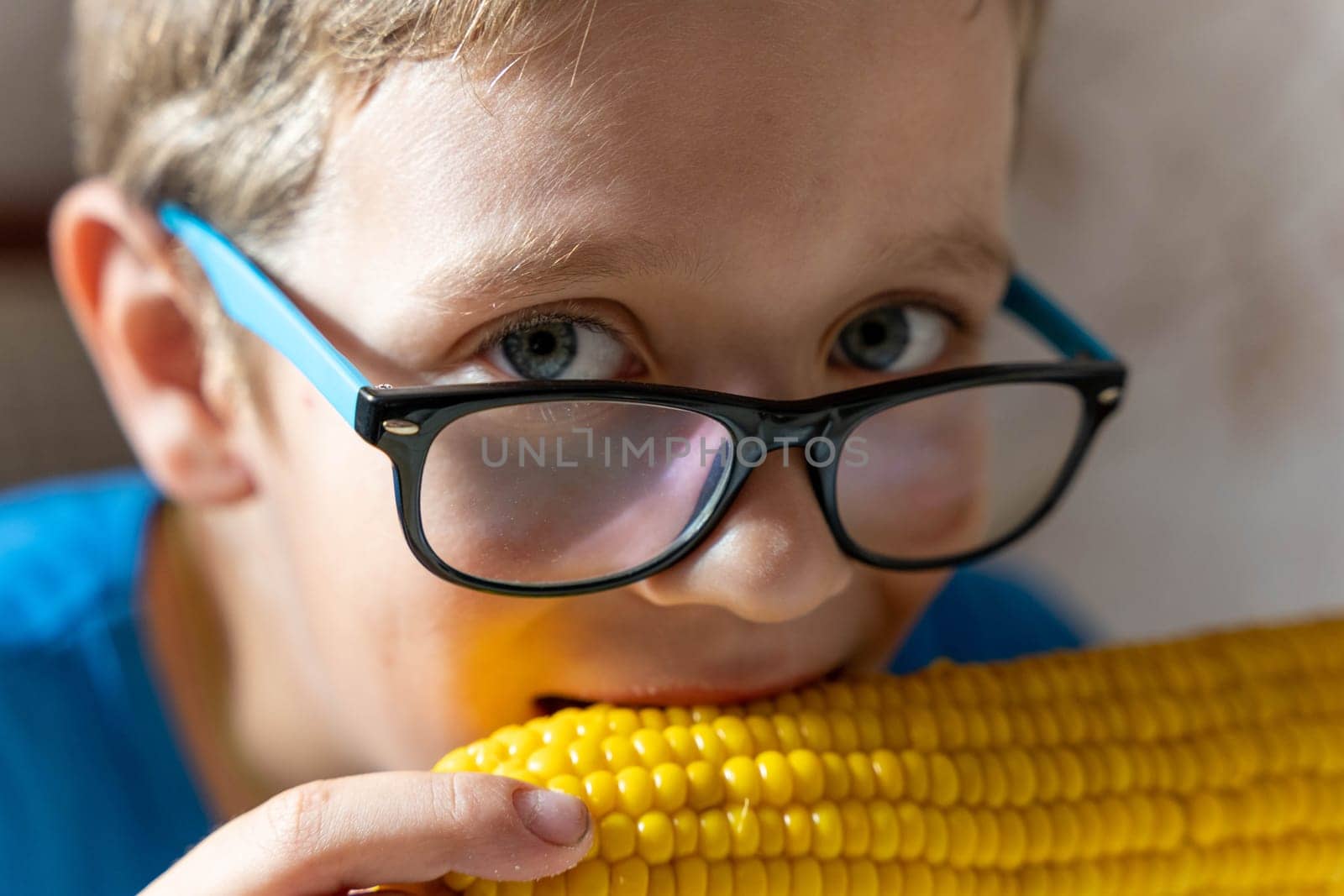 Happy cute Caucasian boy with glasses eating boiled corn on the cob by audiznam2609