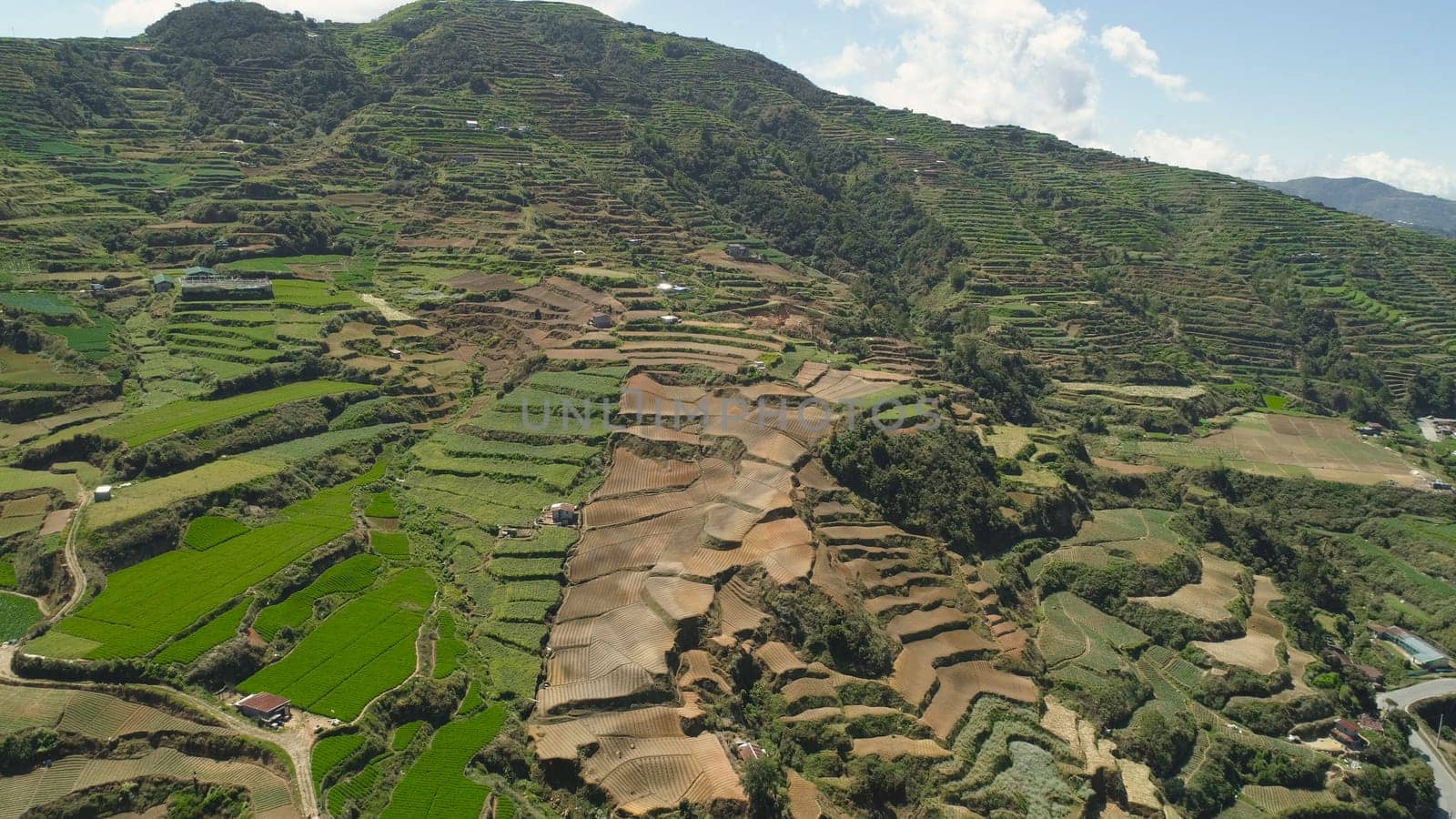 Aerial view of rice terraces and agricultural farm land on the slopes of mountains valley. Cultivation of agricultural products in mountain province. Mountains covered forest, trees. Cordillera region. Luzon, Philippines, Baguio province.