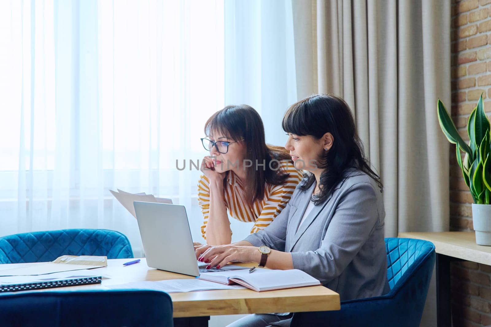 Two mature business women colleagues employees working together in office by VH-studio