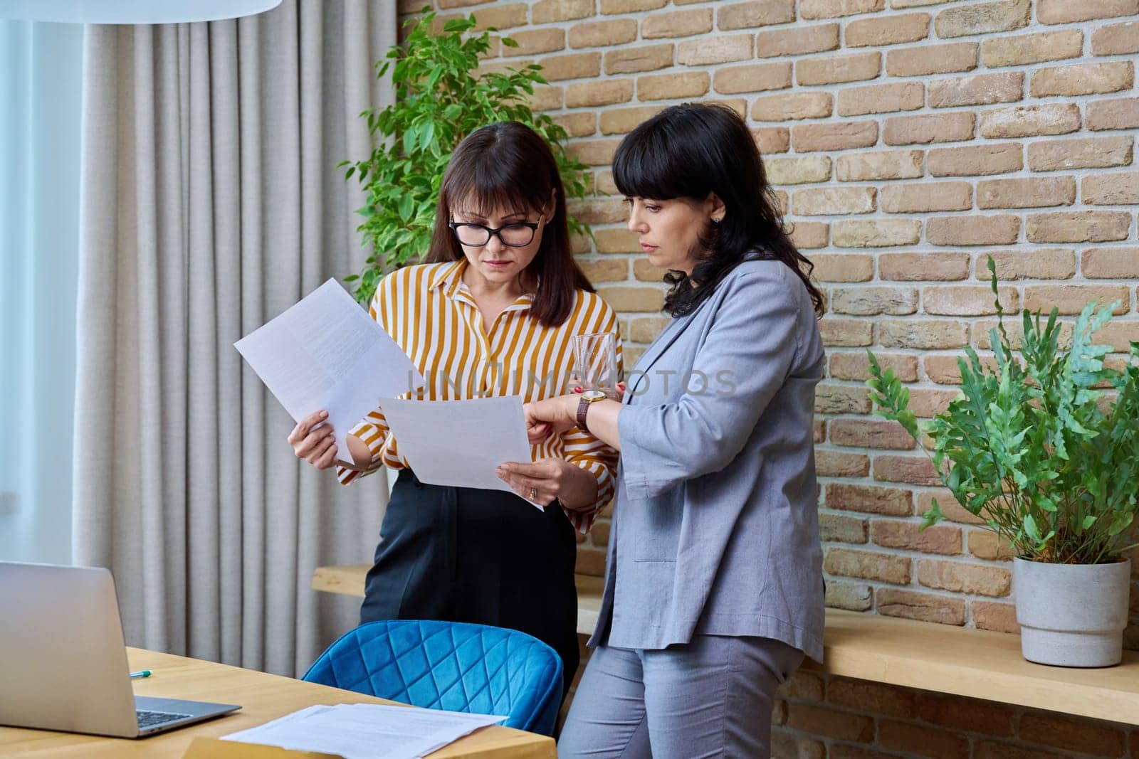 Two mature business women colleagues working together in office by VH-studio