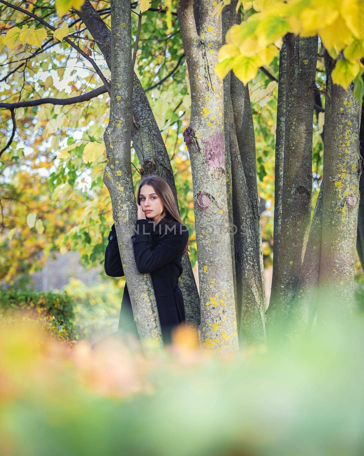 A beautiful girl stands by a tree in an autumn park. by Yurich32